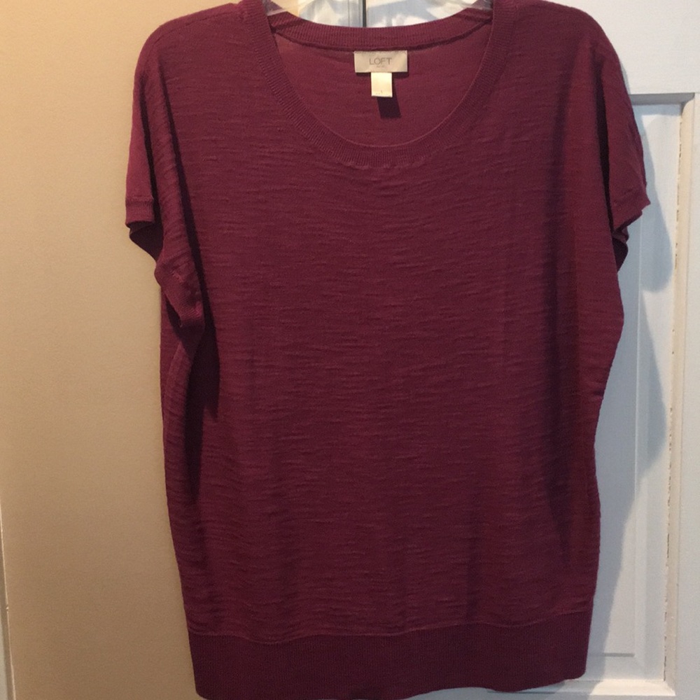 Loft short sleeve knit top